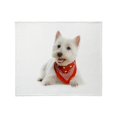 thumbnail image 1 of CafePress - Throw Blanket - Soft Fleece Throw Blanket, 50"x60" for All Ages, 1 of 2