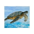 thumbnail image 1 of CafePress - Throw Blanket - Soft Fleece Throw Blanket, 50"x60" for All Ages, 1 of 4