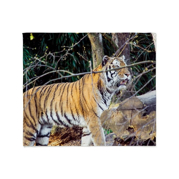 CafePress - Tiger In The Woods Throw Blanket - Soft Fleece Throw Blanket, 50"x60" for All Ages
