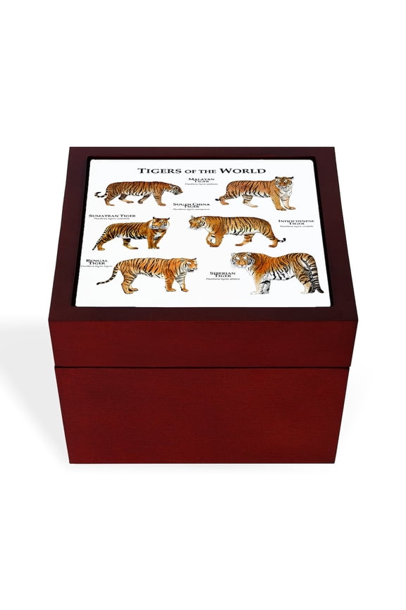 - Tigers Of The World - Keepsake Box, Finished Hardwood Jewelry Box, Velvet Lined Memento Box