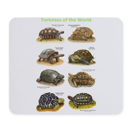 CafePress - Tortoises Of The World Mousepad - Non-slip Rubber Mousepad, Gaming Mouse Pad