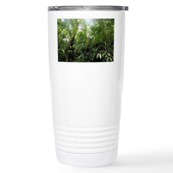 CafePress - Tropical Rainforest, Borneo Stainless Steel Trav - Insulated Stainless Steel Travel Tumbler 20 oz.