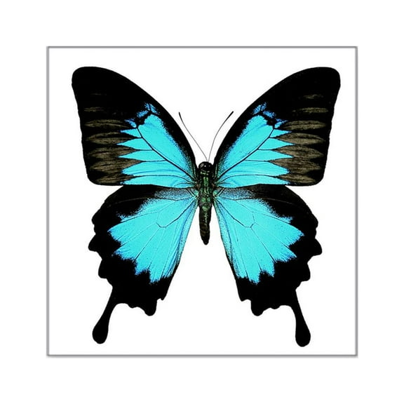 CafePress - Ulysses Swallowtail Butterfly Square Sticker - Square Sticker 3" x 3"