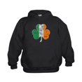 thumbnail image 1 of CafePress - Vintage Irish Flag Shamrock Hoodie - Kids Hooded Sweatshirt, Classic Hoodie, 1 of 4