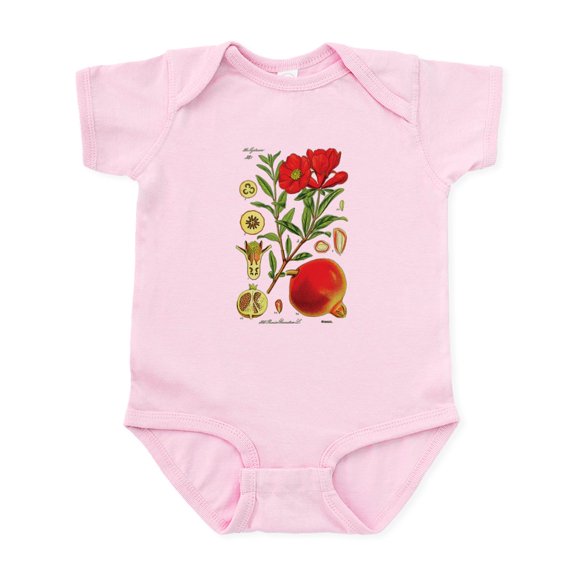 CafePress - Vintage Pomegranate - Baby Light Bodysuit, Size Newborn - 24 Months