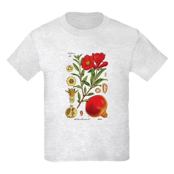 CafePress - Vintage Pomegranate Kids Light T Shirt - Light Classic Kids Graphic, Short Sleeve T-Shirt, Sizes XS-XL