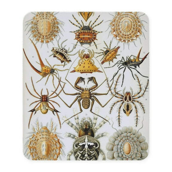 CafePress - Vintage Spiders Mousepad - Non-slip Rubber Mousepad, Gaming Mouse Pad