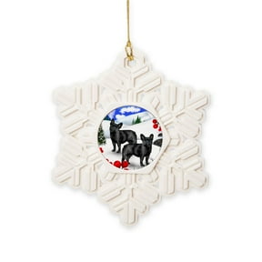 CafePress - WB FB - Snowflake Ornament