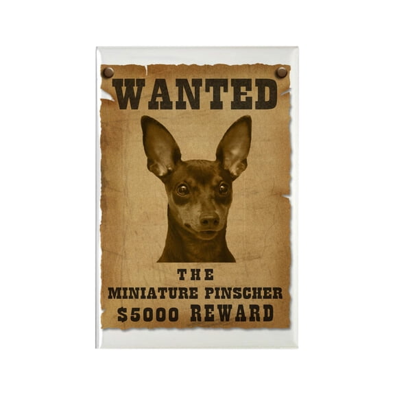 CafePress - Wanted Miniature Pinscher - Rectangle Magnet, 2"x3" Refrigerator Magnet