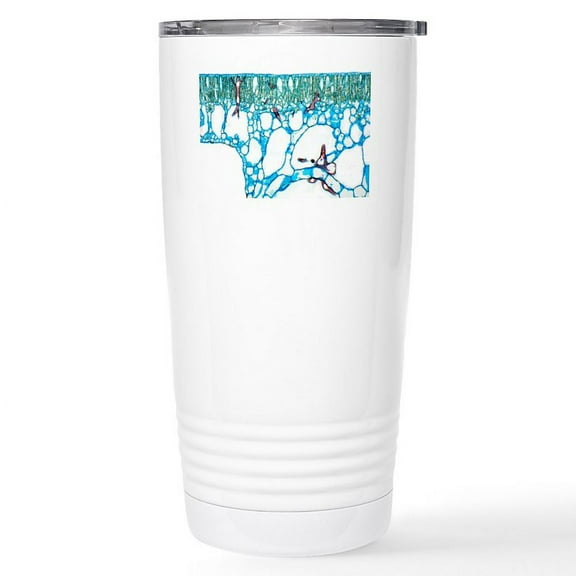 CafePress - Water Lily Leaf, Light Micrograph Stainless Stee - Insulated Stainless Steel Travel Tumbler 20 oz.