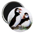 thumbnail image 1 of CafePress - Watercolor Puffin Bird Nature Art Magnets - 2.25" Round Magnet, Refrigerator Magnet, Button Magnet Style, 1 of 3