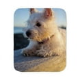 thumbnail image 1 of CafePress - West Highland Terrier Puppy On Wood Sherpa Fleece - Sherpa Fleece Throw Blanket 60" x 50", 1 of 5