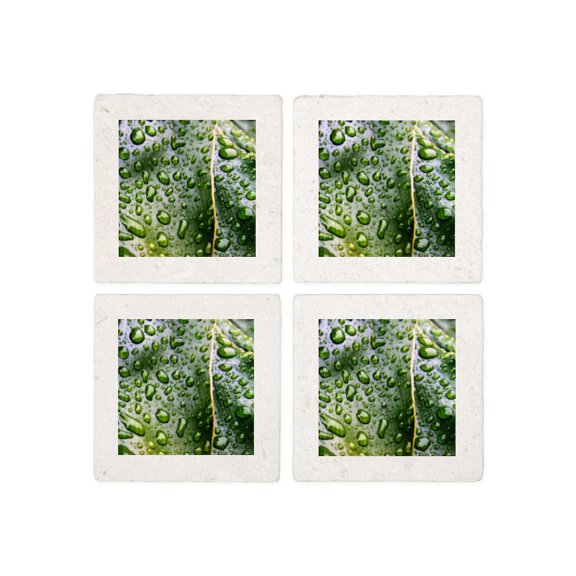 CafePress - Wet Leaf - Tile Coaster, Drink Coaster Set of 4