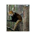 thumbnail image 1 of CafePress - Xia Throw Blanket - Soft Fleece Throw Blanket, 50"x60" for All Ages, 1 of 2