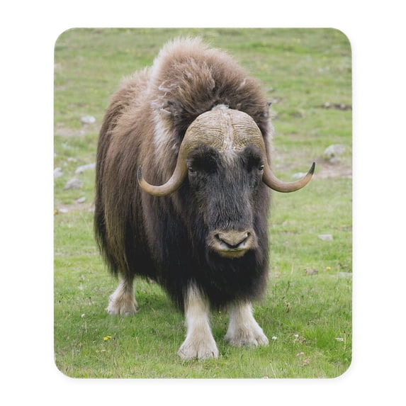 CafePress - Z9580083 Mousepad - Non-slip Rubber Mousepad, Gaming Mouse Pad