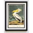 thumbnail image 1 of Audubon Print White Pelican, 1 of 4