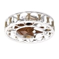 thumbnail image 1 of Caged Ceiling Fan with Lights Remote Control, Farmhouse Ceiling Fans with 6 Speeds Reversible Blades and 5 LED Bulbs, 1 of 8