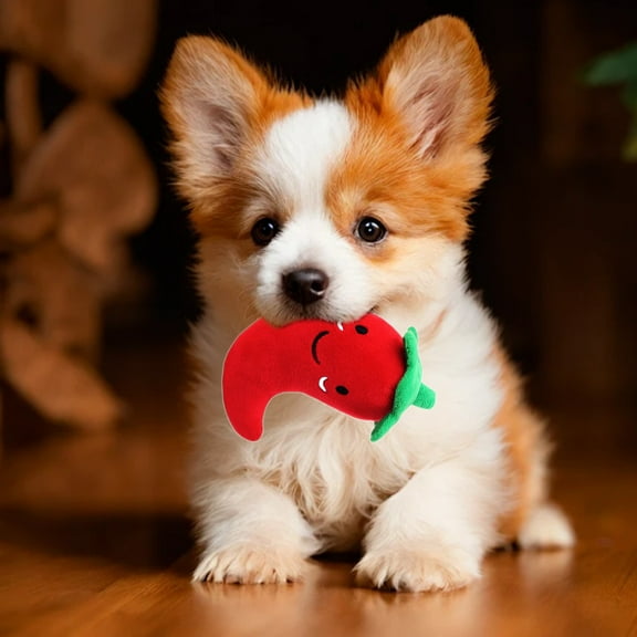 Cagogo under $5 Pet ChewToy, Interactive Pet ChewToy, Dogs Cats PlayToy, Dental Oral CareToy, Robust Chew Resistant, Indoor Pet Entertainment, Plush RopeToy