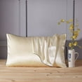 thumbnail image 1 of Cagogo under $5 Silk Pillowcase, Mulberry Silk Pillowcase, Anti-Aging Beauty Pillow Cover, Envelope Closure Standard Size, Hypoallergenic Smooth Pillowcase for Hair and Skin Care, 1 of 5