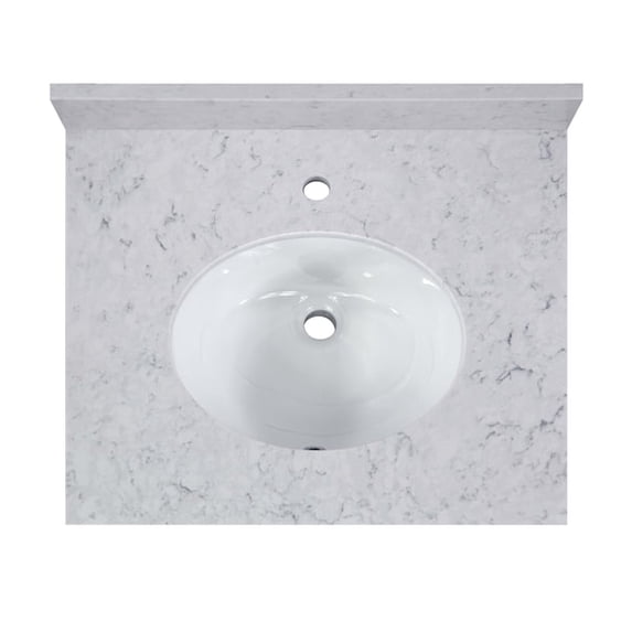Cahaba Vanity Top w/Ceramic Basin,25x 22 in CAVT25RM