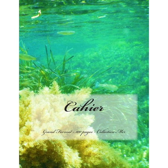 Cahier - Grand Format - 100 pages - Collection Mer: Design Original 9 (Paperback)
