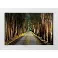 thumbnail image 1 of Cahill, Michael 32x23 White Modern Wood Framed Museum Art Print Titled - Tree Tunnel, 1 of 4
