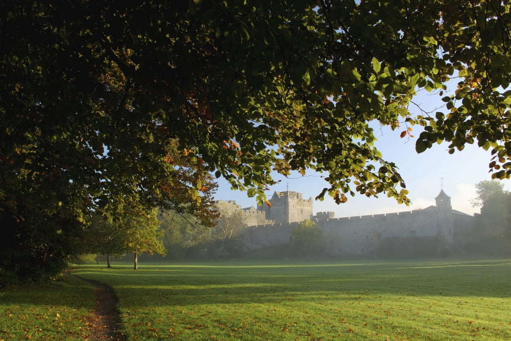 Cahir Castle Cahir County Tipperary Ireland Canvas Art - Trish Punch Design Pics (19 x 12)