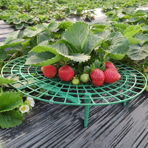 CaiYueKe Strawberry Plant Support Ring Holder Growing Frame Garden Protector Cage Rack Stand for Strawberries Off Ground Vine Fruit Vegetable Plants Gardening Supplies Outdoor