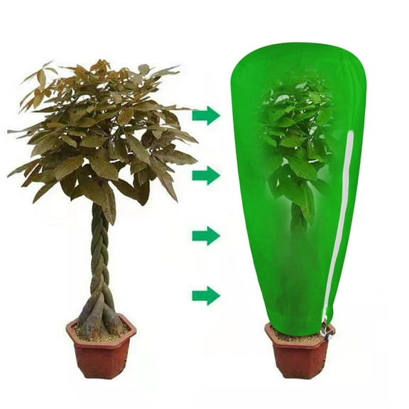 Cailmei Antifreeze Your Plants From Frostbite In Winter A