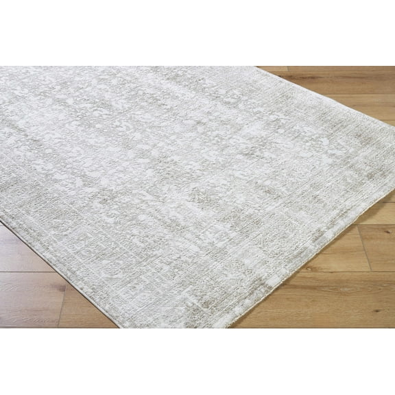 Boutique Rugs Cailyn Traditional Area Rug - Off White, Beige - 2'7" x 3'11"