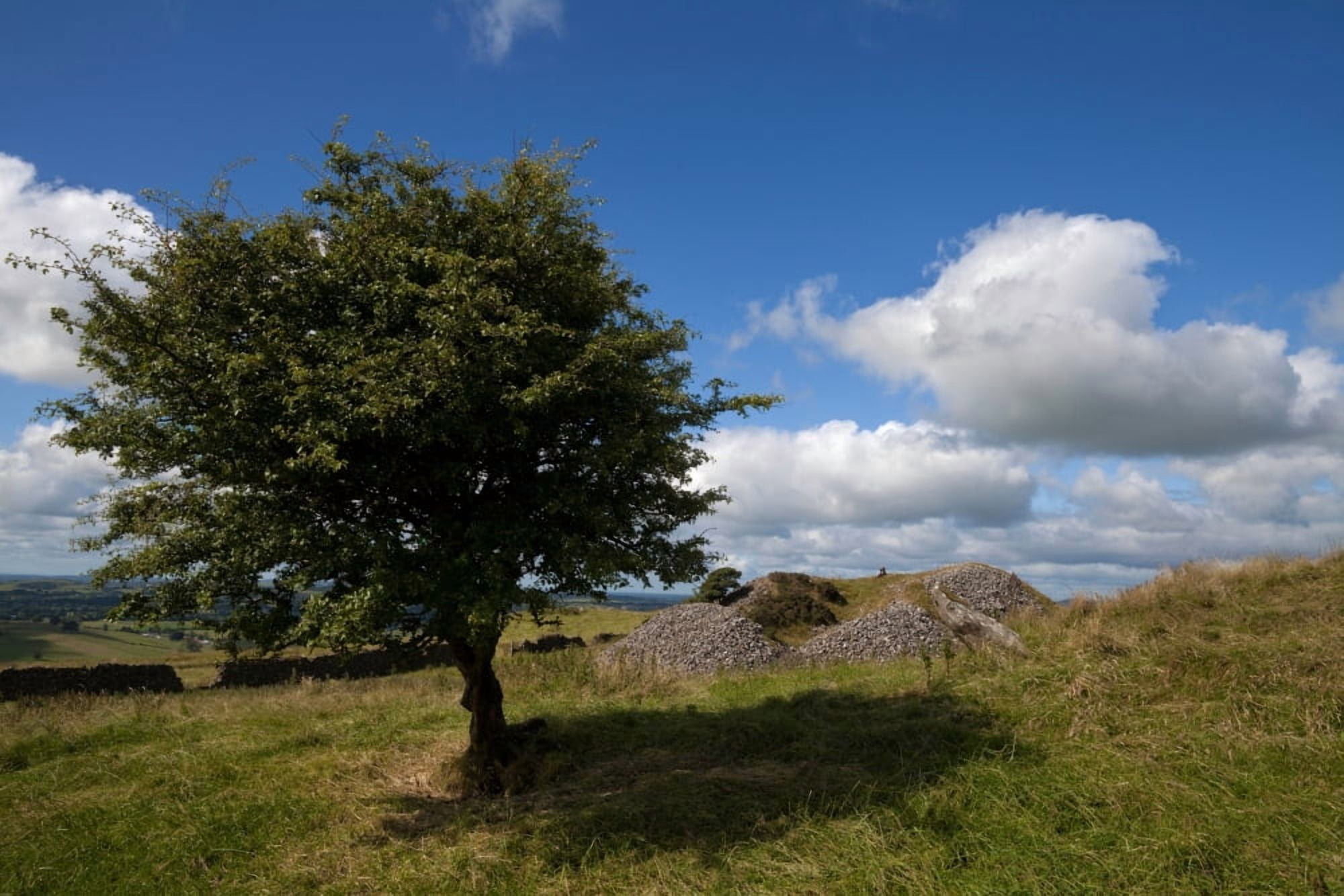 Cairn D on Carbane West Loughcrew passage tombs complex County Meath Ireland Canvas Art - Panoramic Images (36 x 12)