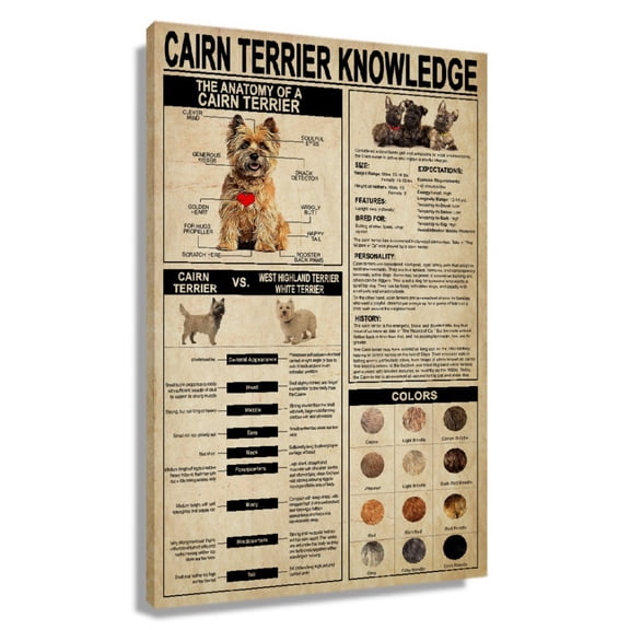 Cairn Terrier Dog Knowledge Poster Educational Wall Art Infographic Poster Pictures for Bedroom Giclee Printing Canvas Decor for Office Vertical Painting Unframed 12×18 in