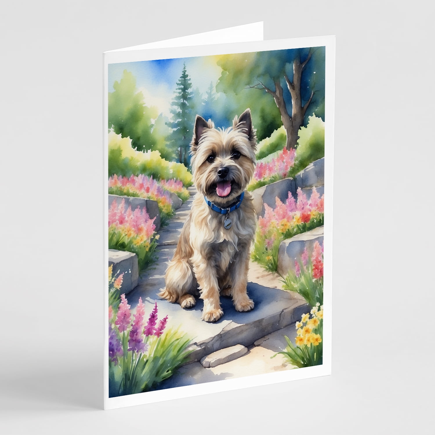 Cairn Terrier Spring Path Greeting Cards Pack of 8 7 in x 5 in