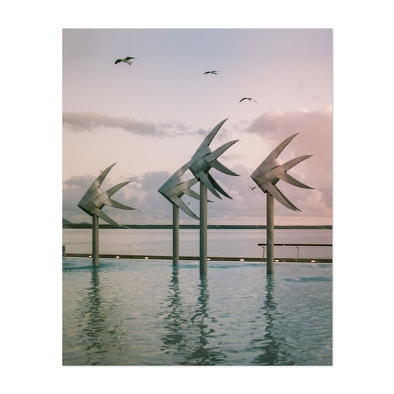 Cairns Woven Fish 01 - Cairns Queensland Australia Photography Seaside Pool Abstract Water Coastal Fountain Bird Unframed Wall Art Print 5 x 7 inches