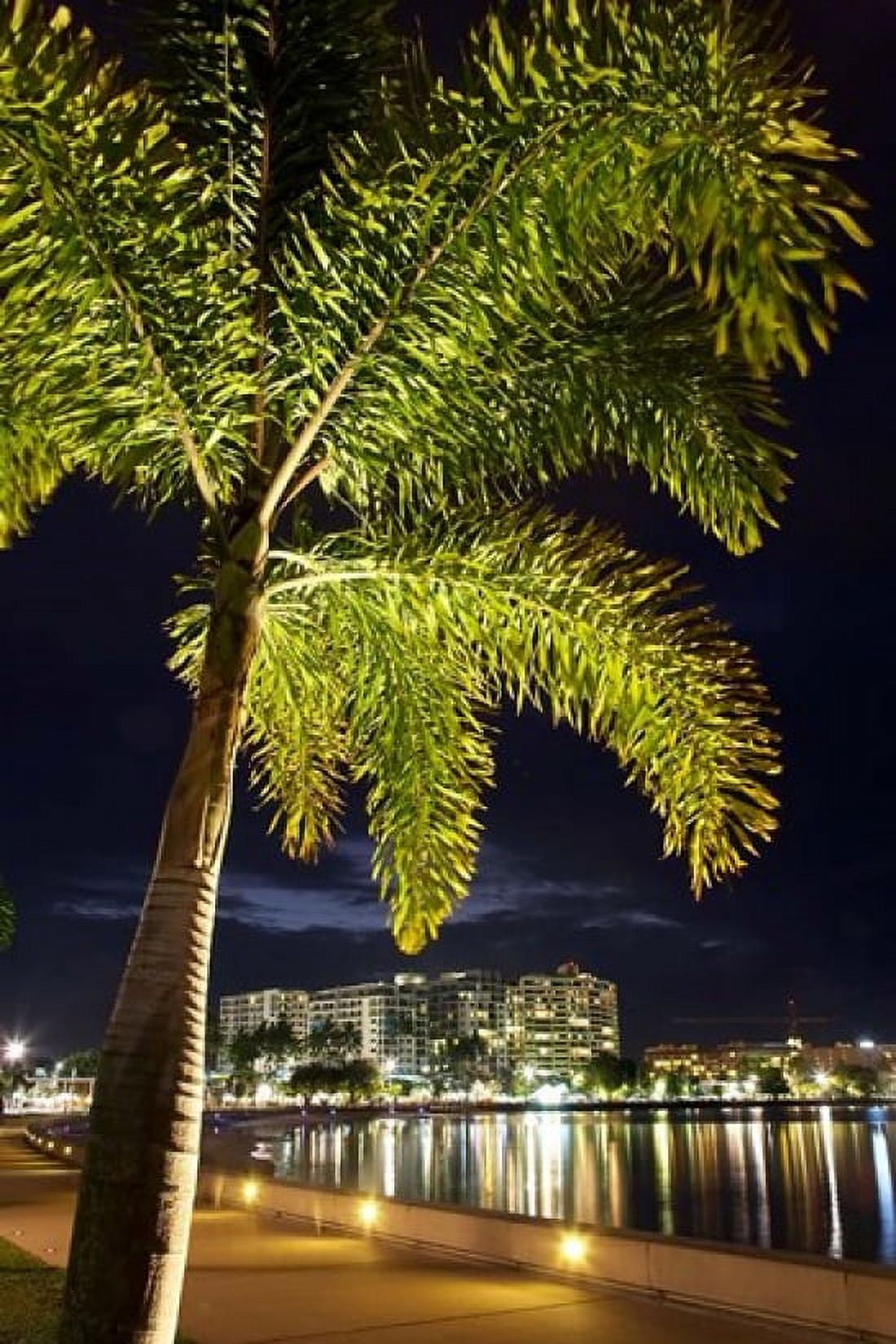 Cairns waterfront at night North Queensland Australia Canvas Art - David Wall DanitaDelimont (18 x 26)