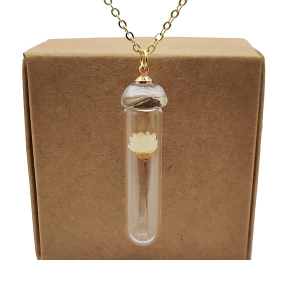 Cairui Design Daisy Ivory Real Flowers Glass Bottle 18k Gold Plated Chain Necklace Handmade Women