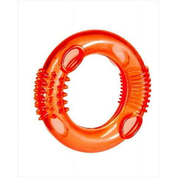 Caitec 60048 Foraging Ring - Medium