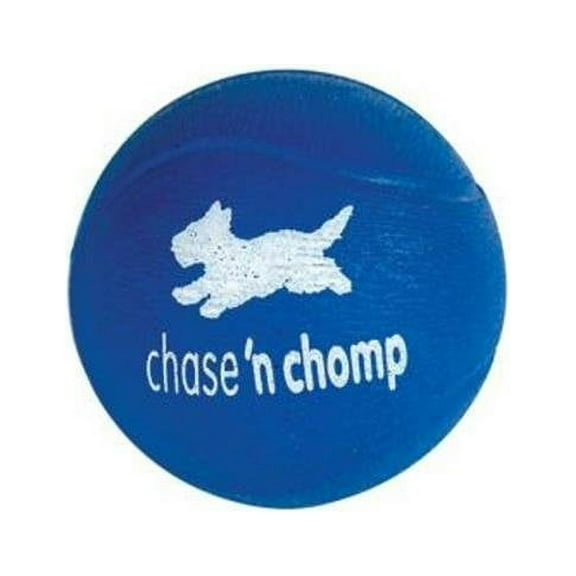 Caitec 60063 Hi-Bouncer Ball - Purple