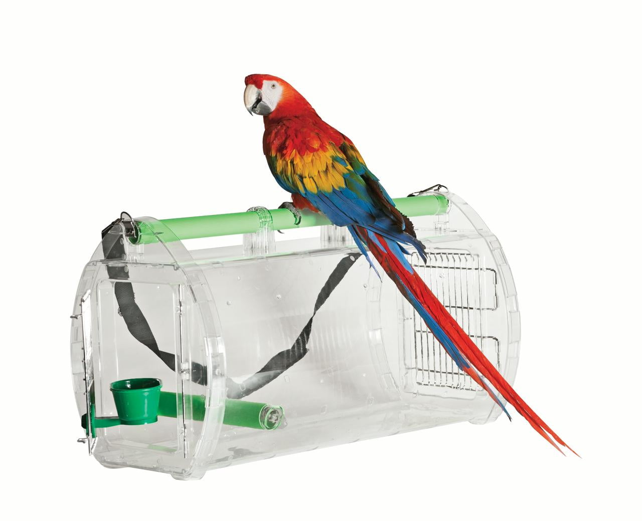 Parrot carrier discount