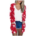 Snowflake Pattern Design Caixia Christmas Sweater for Women, Soft Knit Fabric, Print Long Sleeve ...