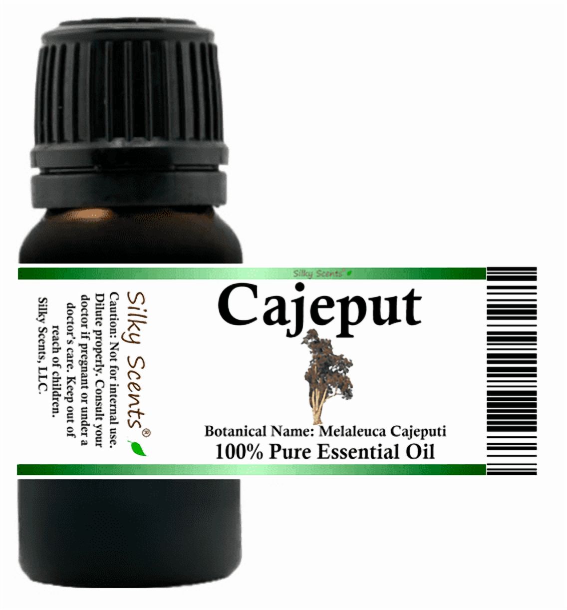 Cajeput Essential Oil 1 fl oz (30 ml) - 100% Pure and Natural by Silky Scents
