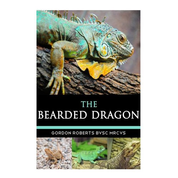 Cake By The Pound Short shirt for mens XL Black