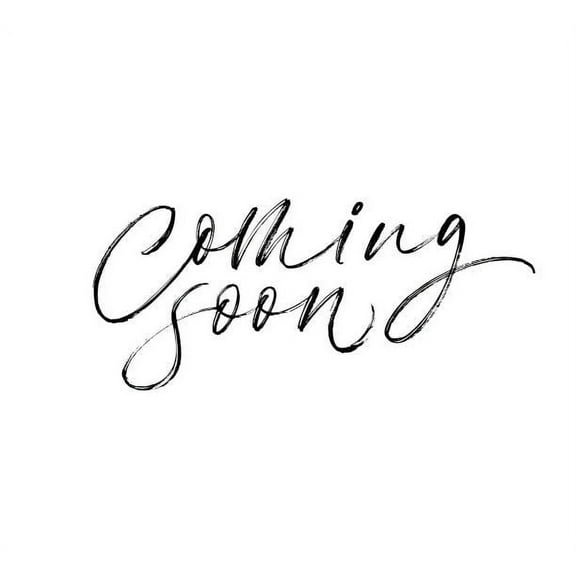 Cake Fork 4pc set SS Polished