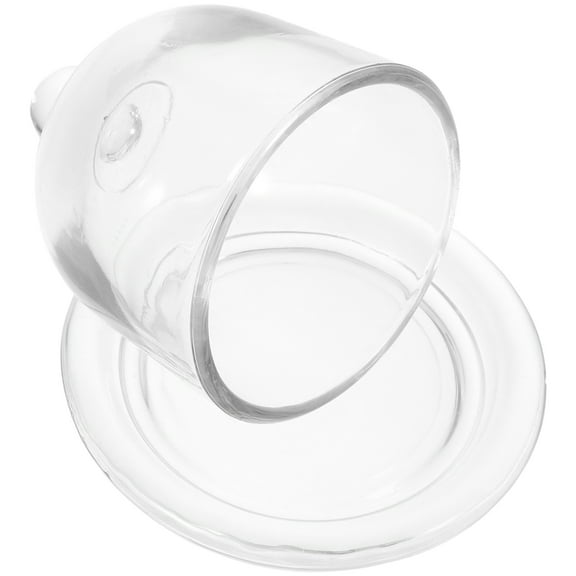 NIAIZEK Niaizek transparent glass covered cake plate simple design birthday 1pcs