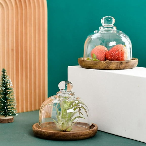 Cake Stand with Dome Lid Multifunctional Serving Platter and Cake Plate, Salad Bowl/Veggie Platter/Punch Bowl/Desert Platter/Chips & Dip - BPA Free