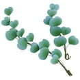 thumbnail image 1 of Cake Topper Decor, Wedding and Anniversary,Eucalyptus Leaves cake topper for wedding and anniversary24541 (2/PKG), 1 of 2