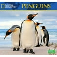 thumbnail image 1 of Cal 2019 National Geographic Penguins (Other), 1 of 1
