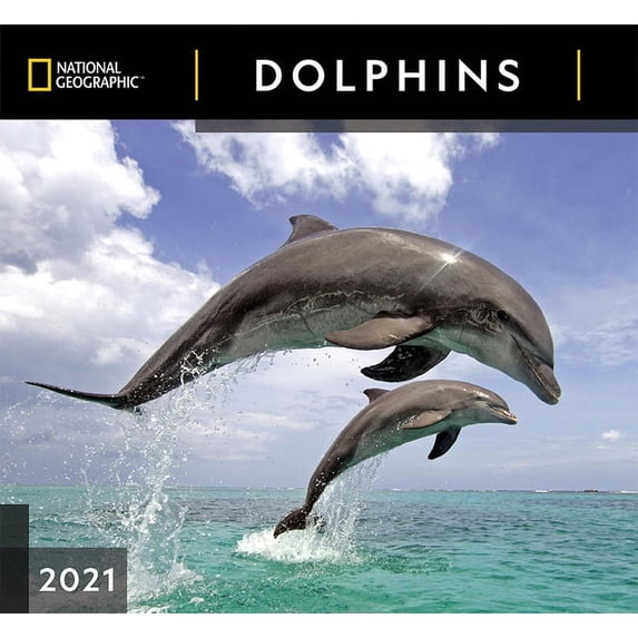 Cal 2021- National Geographic Dolphins Wall (Other)