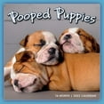 thumbnail image 1 of Cal 23 Pooped Puppies, 1 of 1
