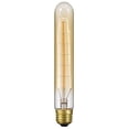 thumbnail image 1 of Cal Lighting - Accessory- 60W E26 T10 Base EdisonReplacement Bulb-1.13 Inches, 1 of 2